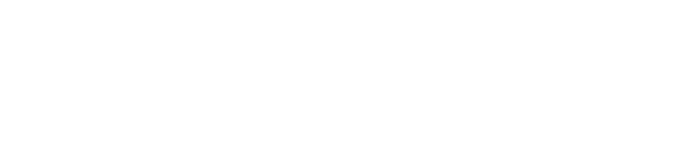 SAPSA - Servicios Aduaneros del Paraguay S.A.